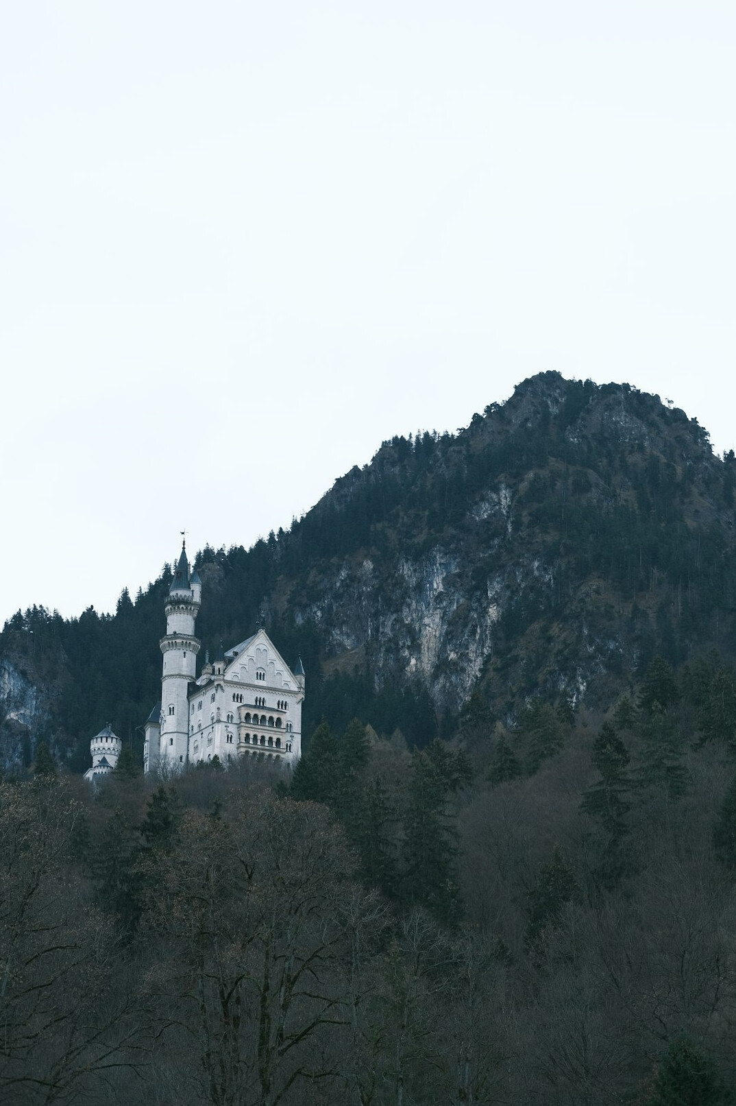 Neuschwanstein Castle on a forested hill