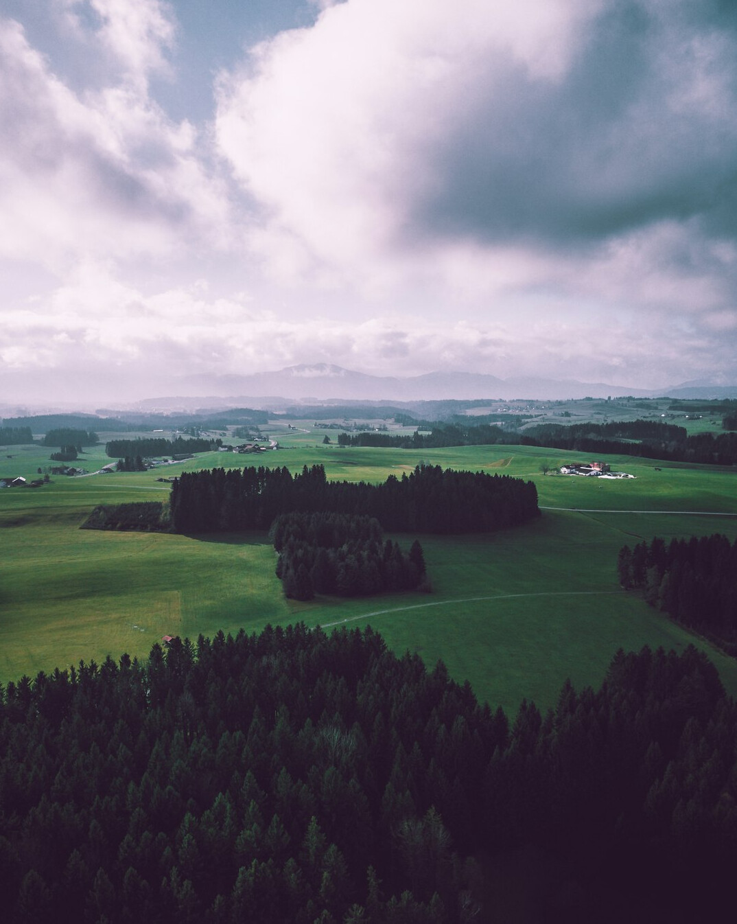 german black forest landscape